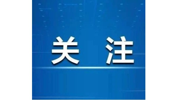 电子招标投标办法