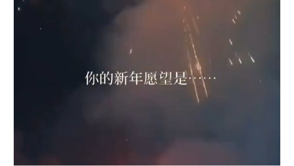 这是我同事们的新年愿望