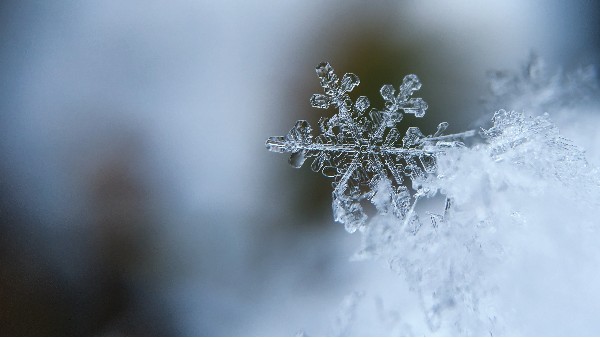 今日大雪 | 雪落知寒意 常伴见匠心